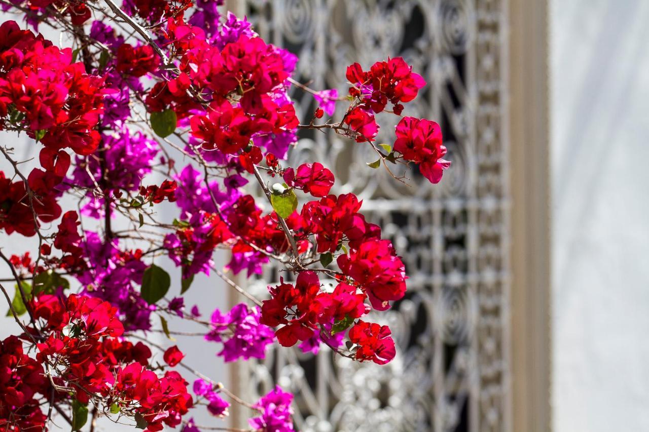Riad Clementine Marrakesh Exterior foto